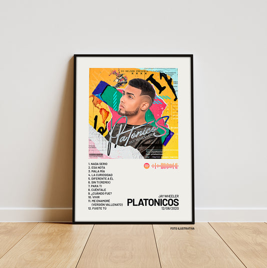 PLATONICOS