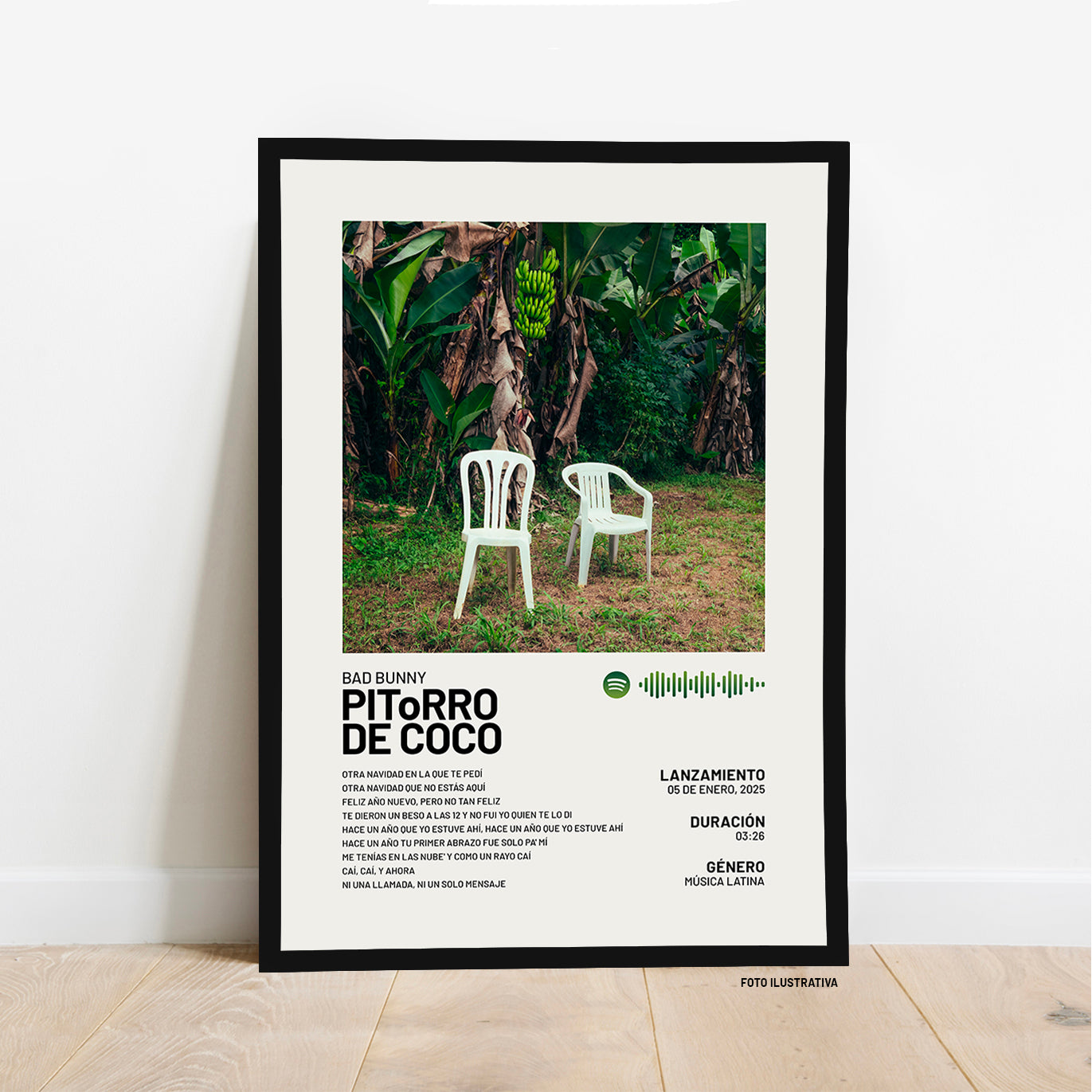 PIToRRO DE COCO