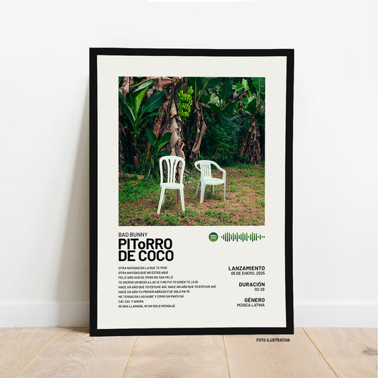 PIToRRO DE COCO